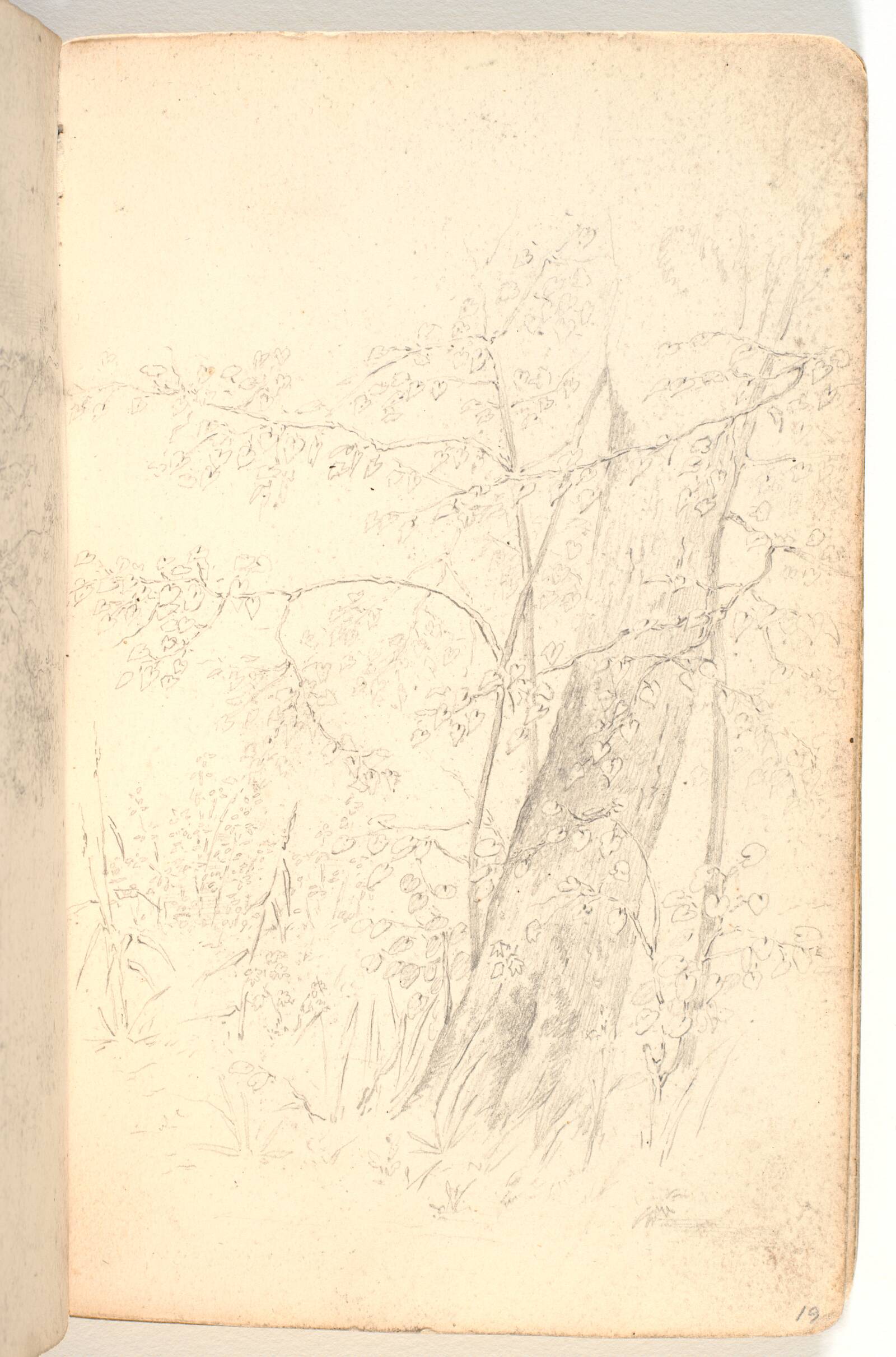 Rids af krat, træer og træstamme, Martinus Rørbye, 1825-1826