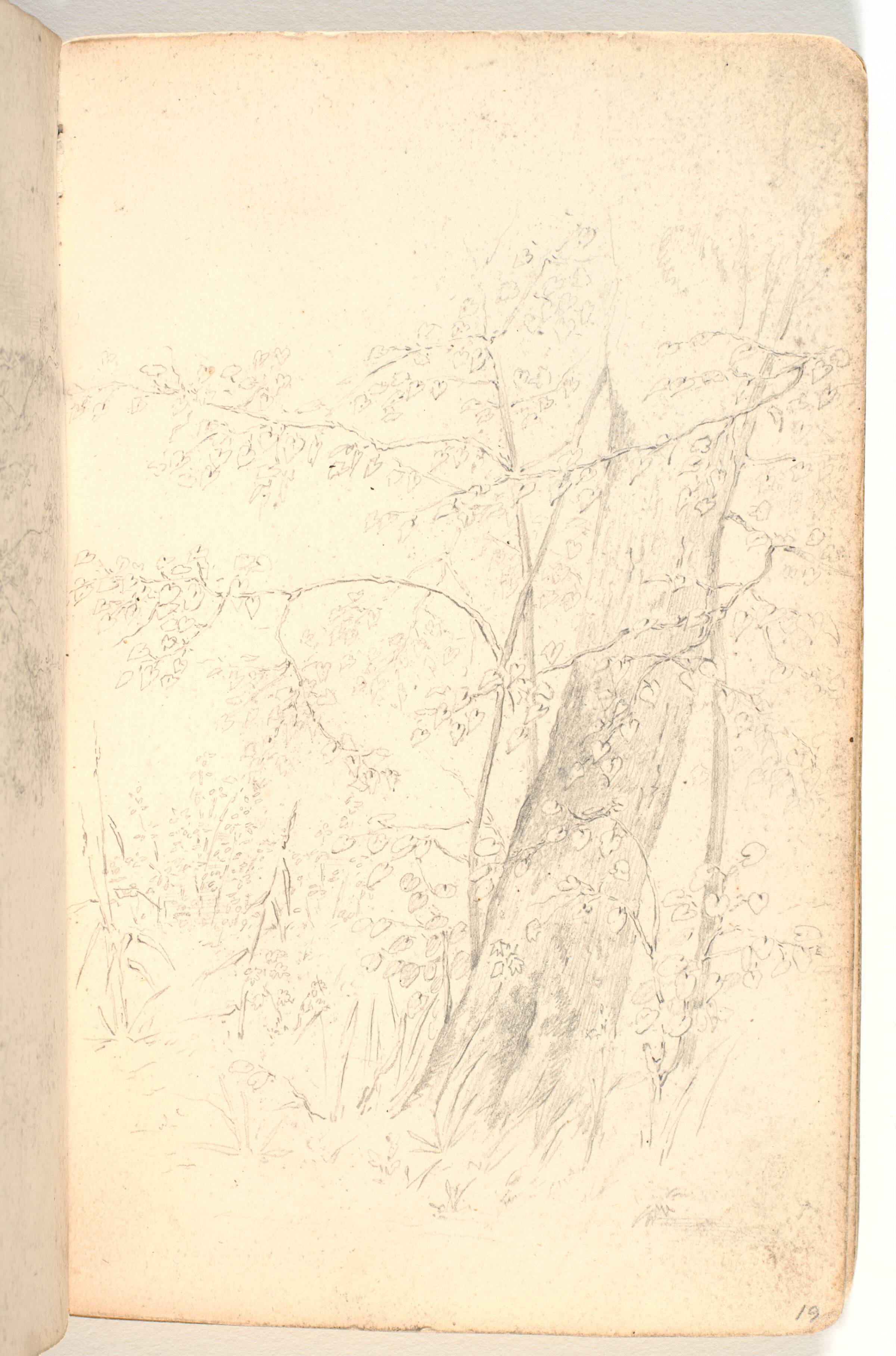Rids af krat, træer og træstamme, Martinus Rørbye, 1825-1826