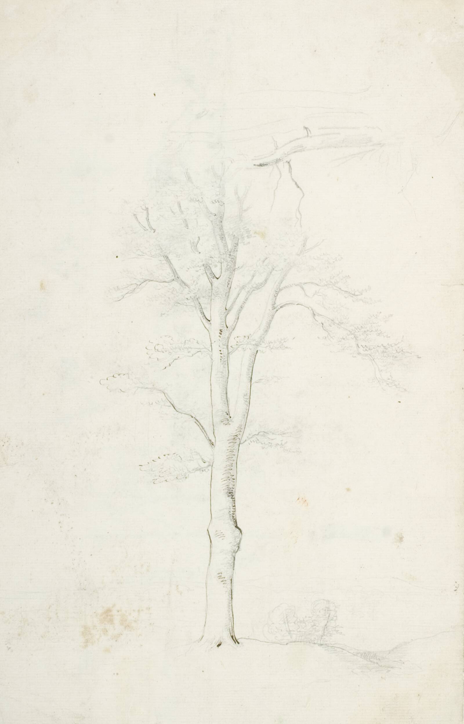 Træstudier, Dankvart Dreyer, 1837-1839