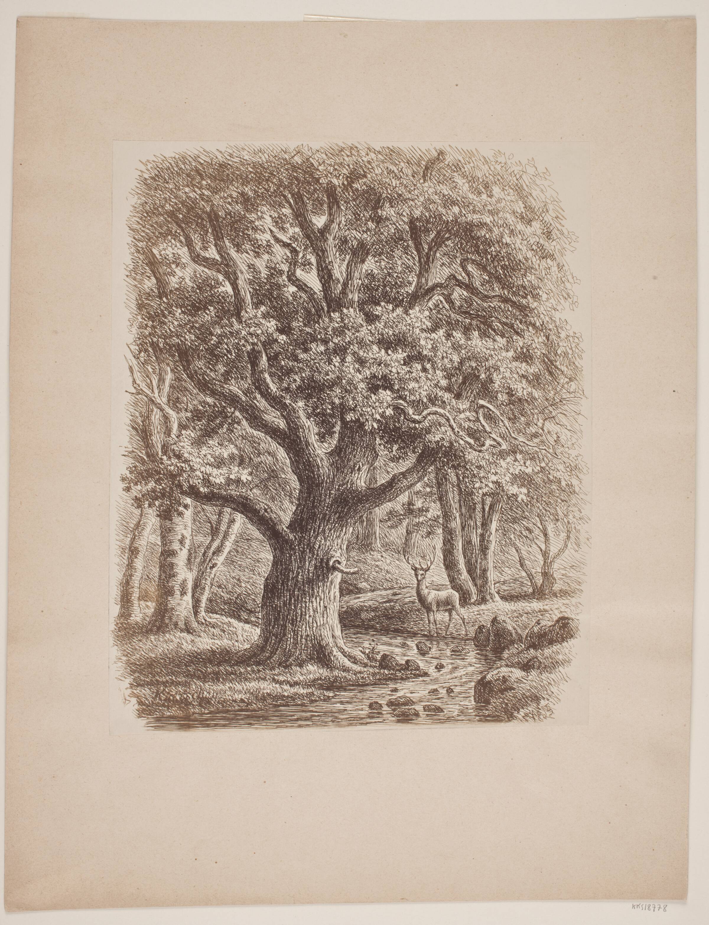 Skovindre med et vandløb og en hjort, F.C. Kiærskou, 1865