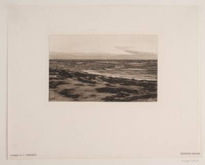 Tisvilde strand