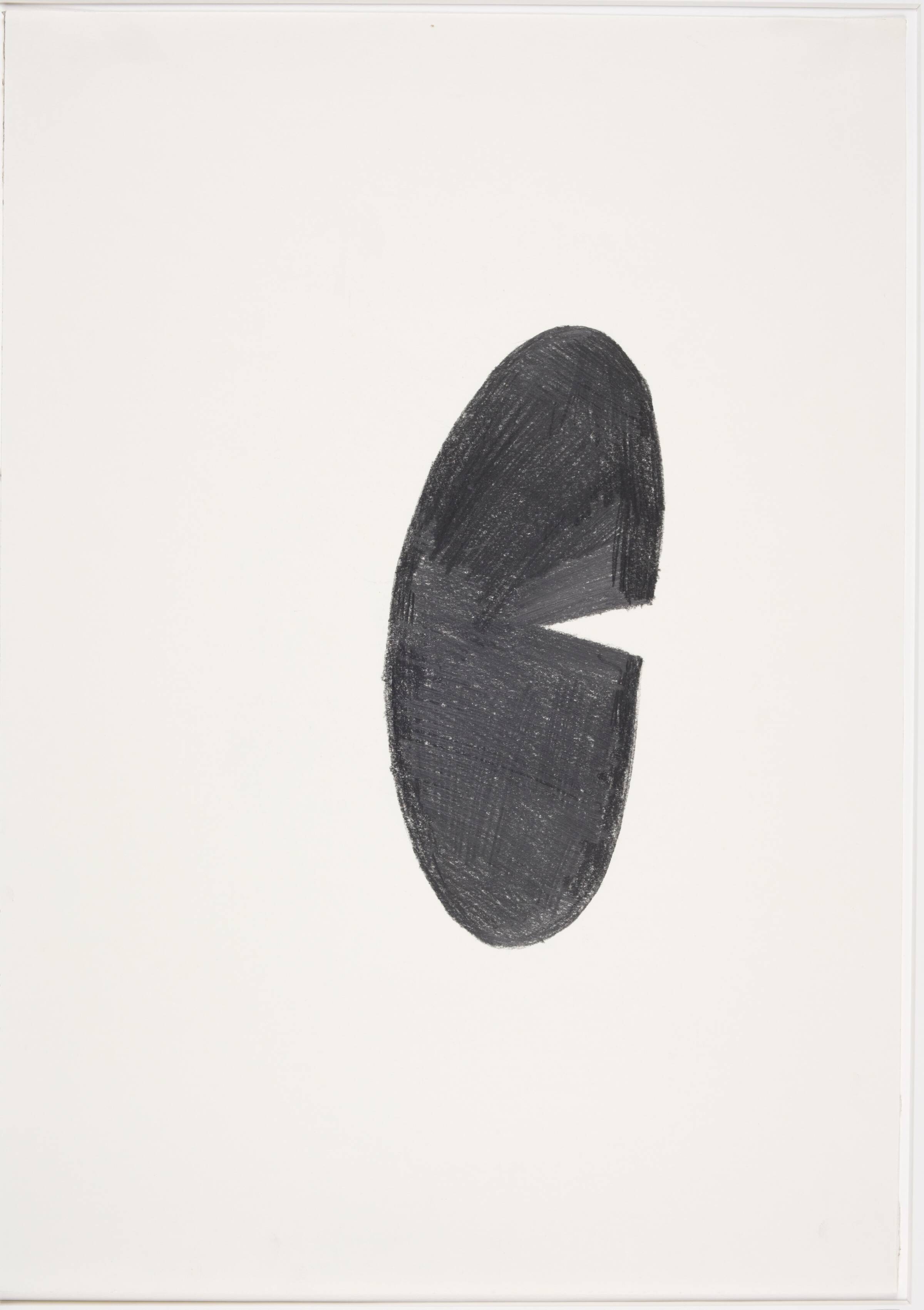Different views and perspectives, Saskia Te Nicklin, 2012