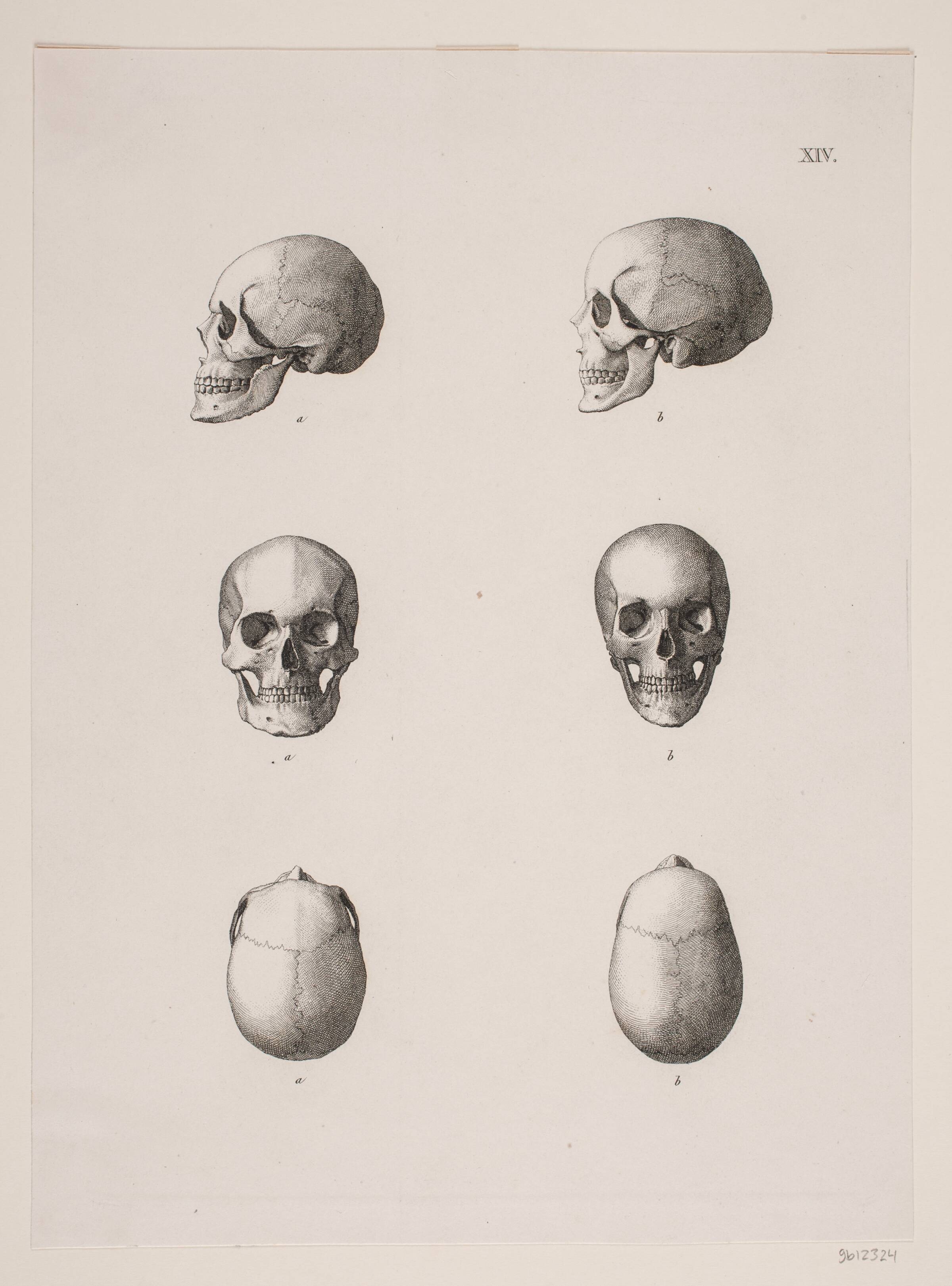 "Kongegravene i Ringsted Kirke". Planche XIV, Heinrich Hansen, 1858