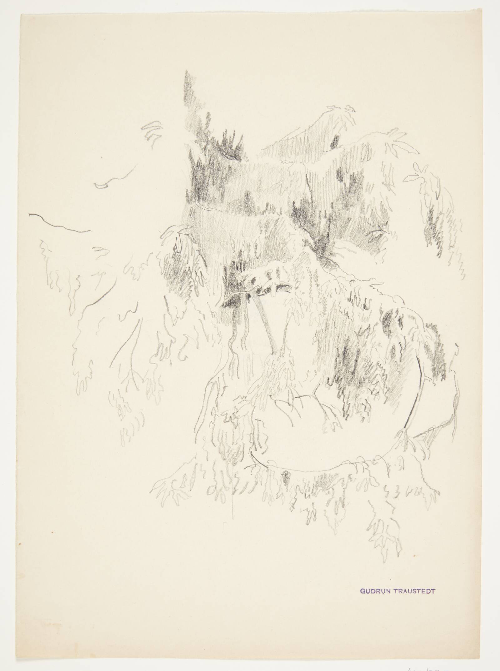 Studie af grene, Traustedt, Gudrun, 1915-1924