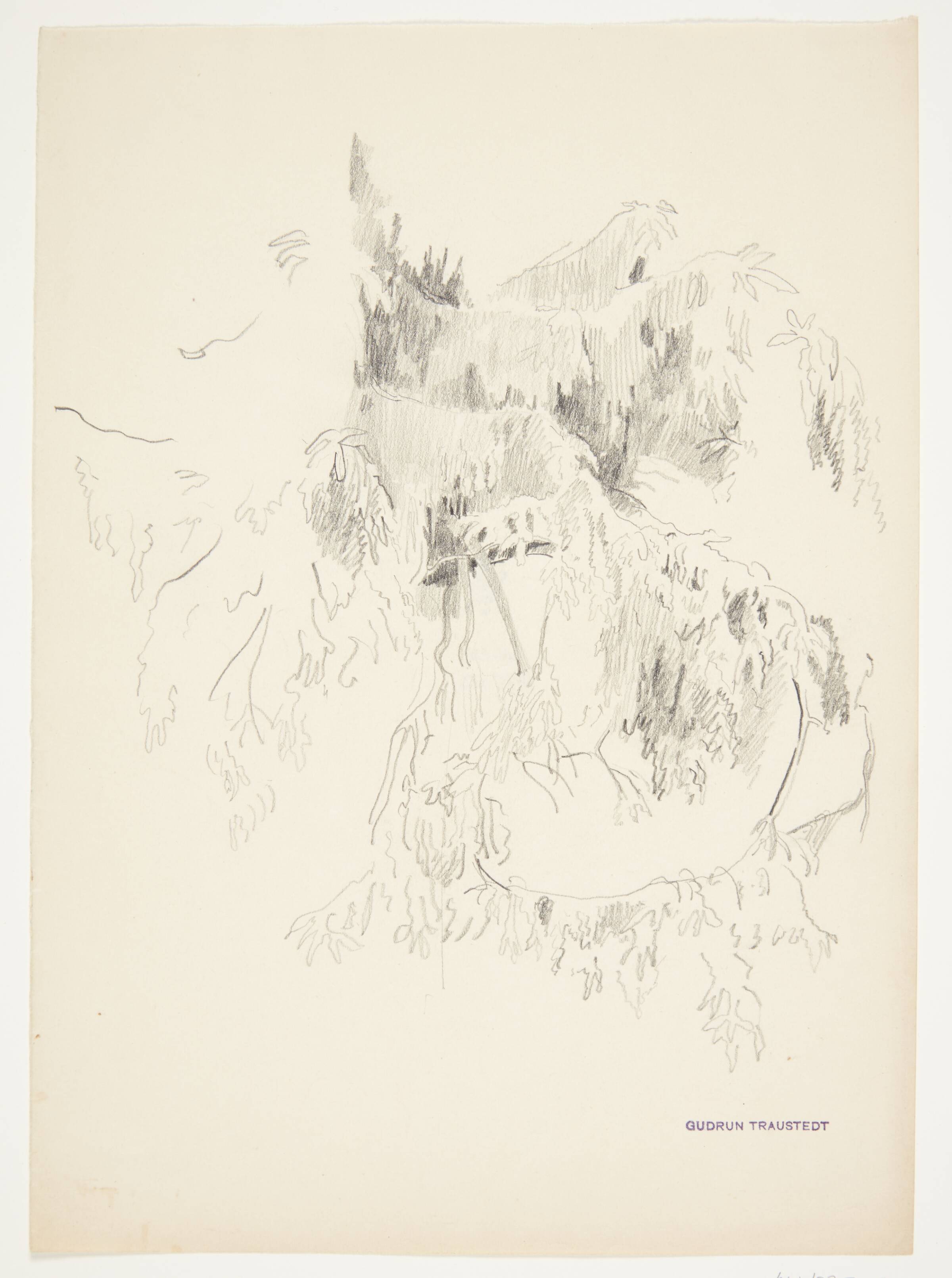 Studie af grene, Traustedt, Gudrun, 1915-1924