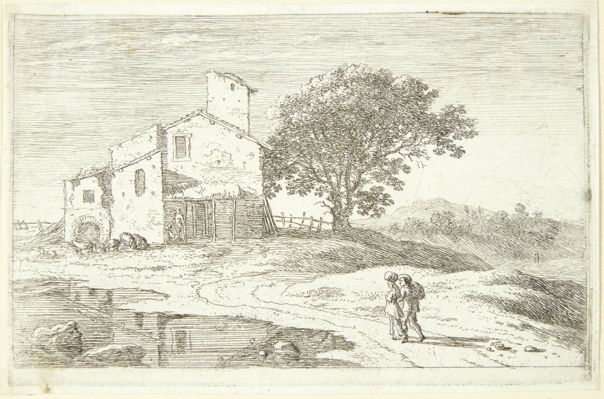 Et stort træ nær et hus