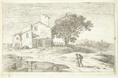 Et stort træ nær et hus