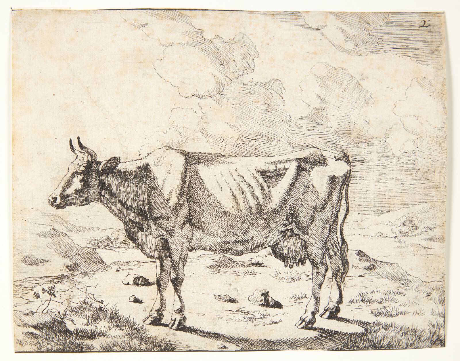 Stående ko, vendt mod venstre, Marcus de Bye, 1638-1690