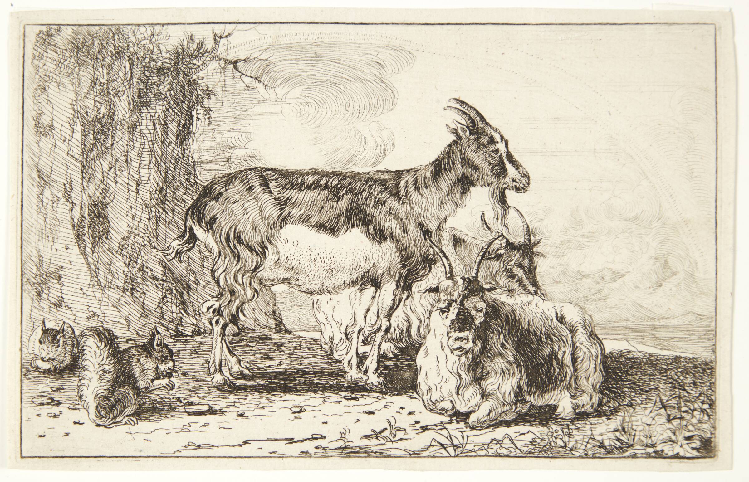 Geder, Jan van den Hecke I, 1619-1684