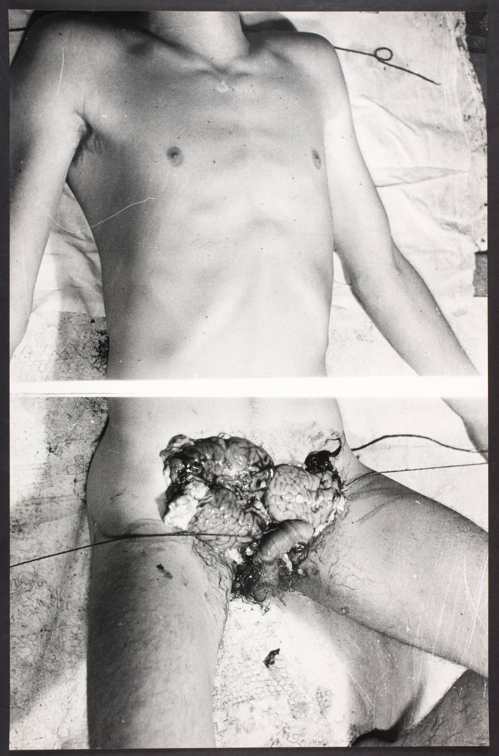 20. Aktion, Wien 29.8.1966, Hermann Nitsch, 1966