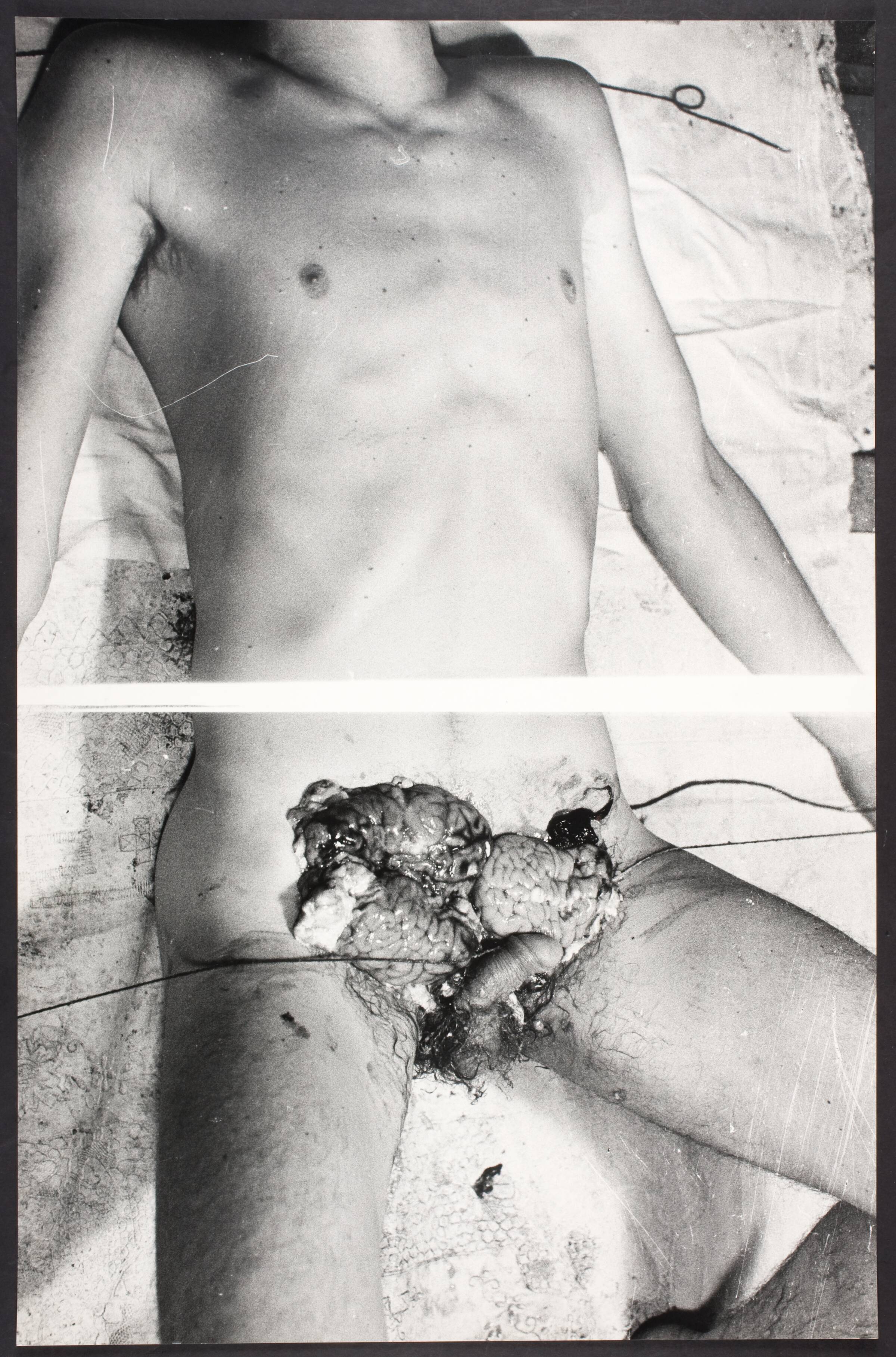 20. Aktion, Wien 29.8.1966, Hermann Nitsch, 1966