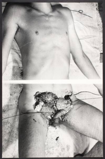 20. Aktion, Wien 29.8.1966, Hermann Nitsch, 1966