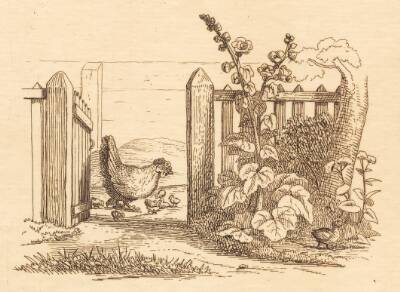 Illustration til "Halvhundrede Fabler for Børn" af Hey