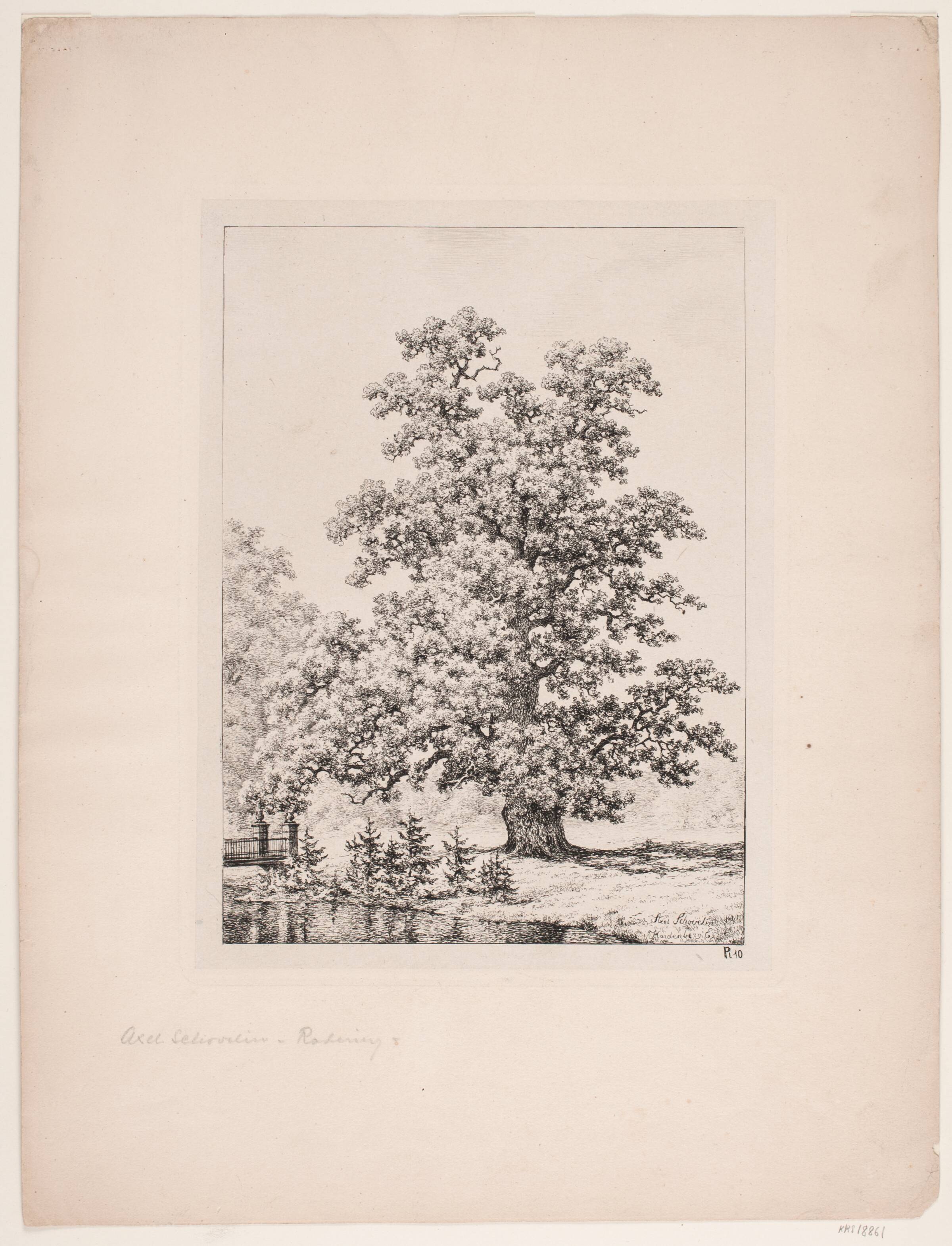 Hardenberg egen, Axel Schovelin, 1887