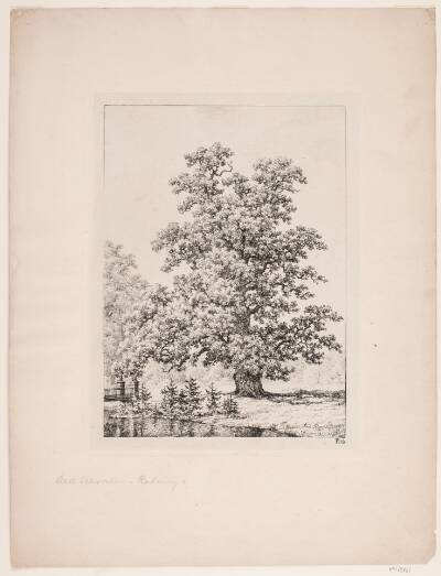Hardenberg egen