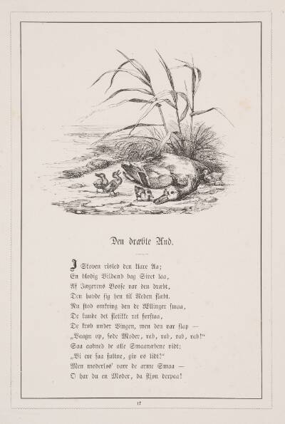 Den dræbte And. Illustration til H.V. Kaalund, "Fabler for Børn"