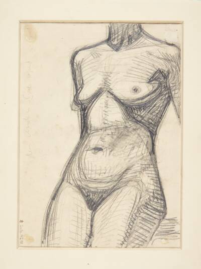 Torso af kvindelige model