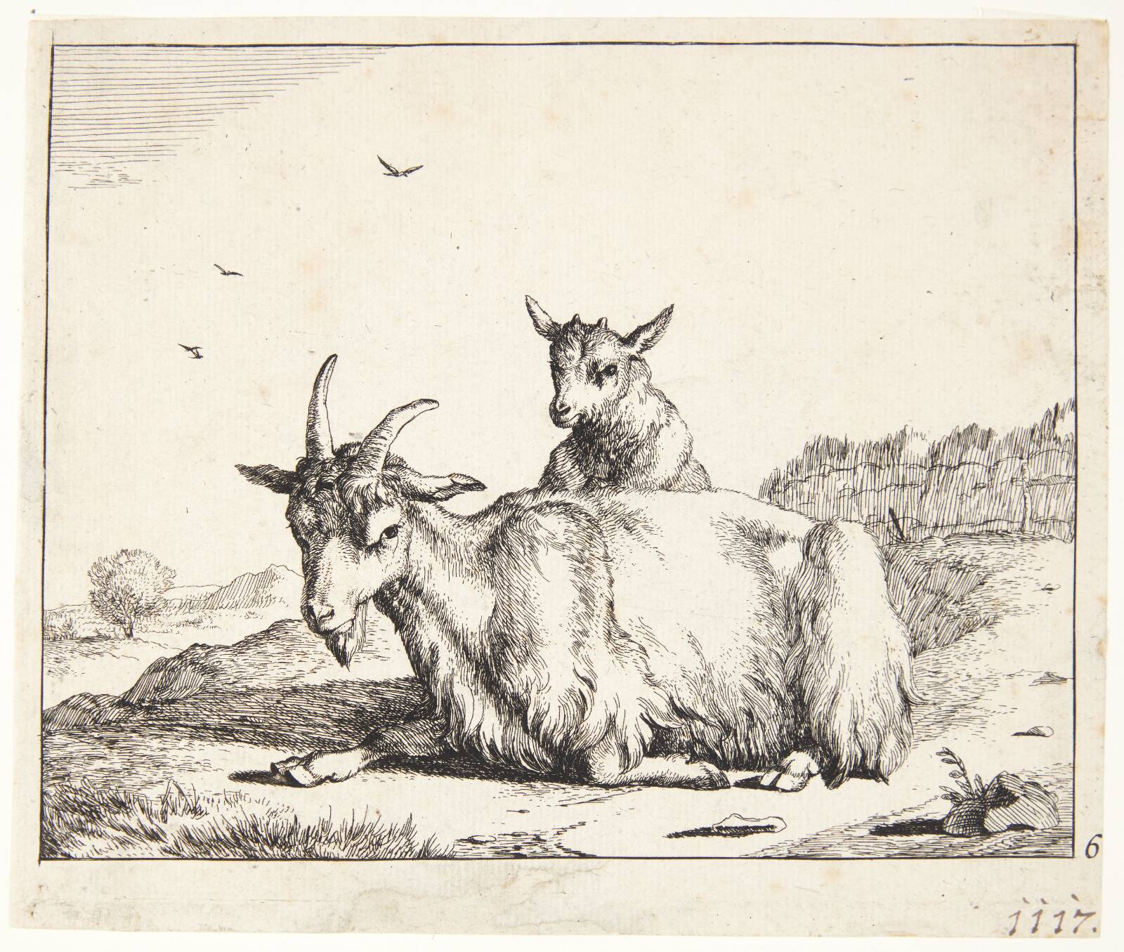 Liggende ged med kid, Marcus de Bye, 1638-1690