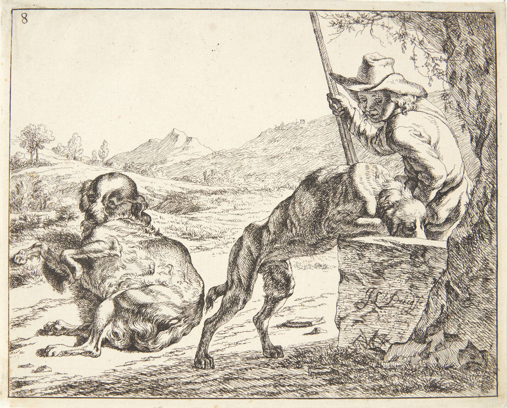 En hund, som drikker