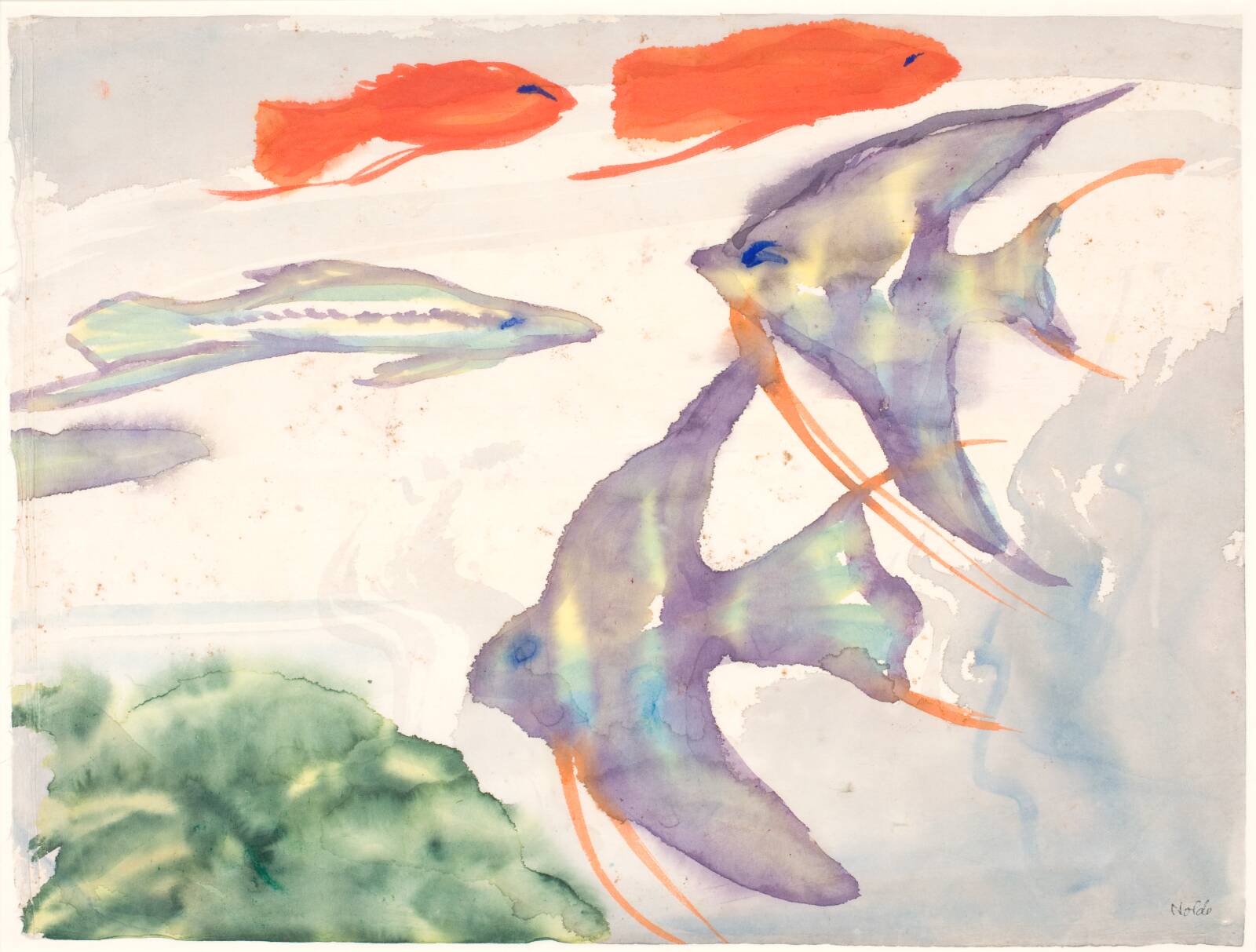 Tropefisk. Akvarieinteriør, Emil Nolde, 1928-1931
