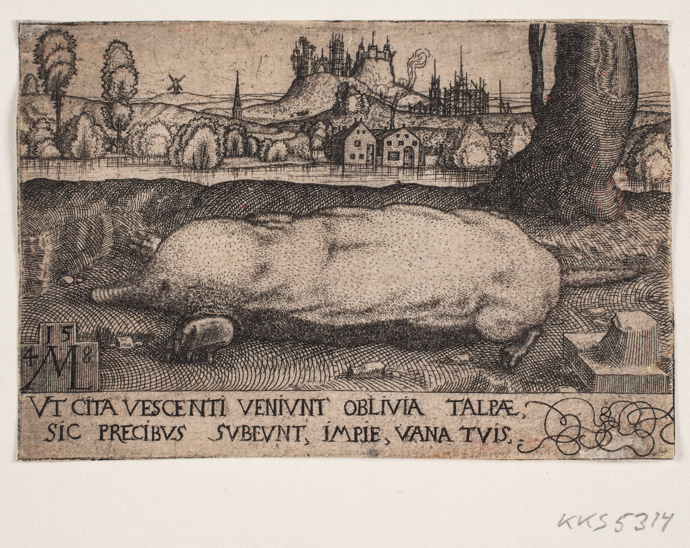 Muldvarpen, Melchior Lorck, 1548