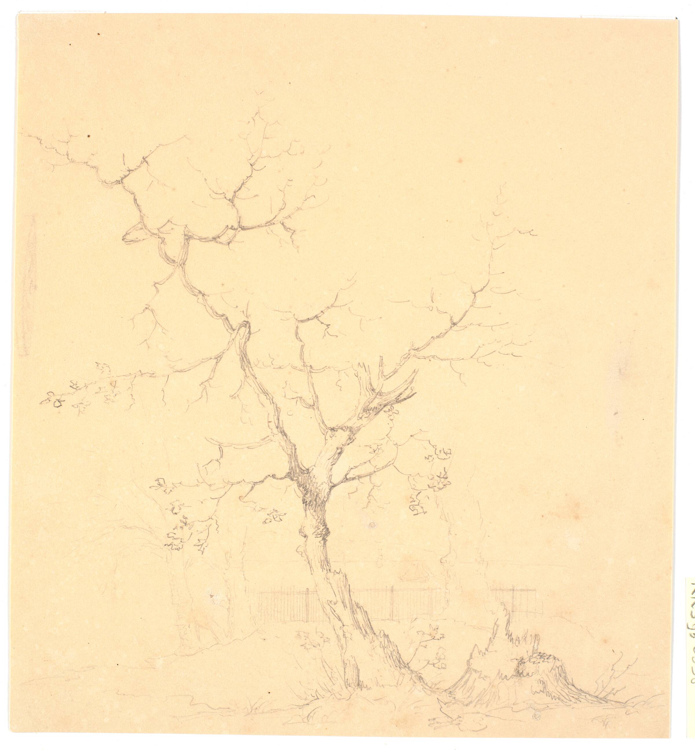 Træstudie, Wilhelm Bendz, 1820-1832