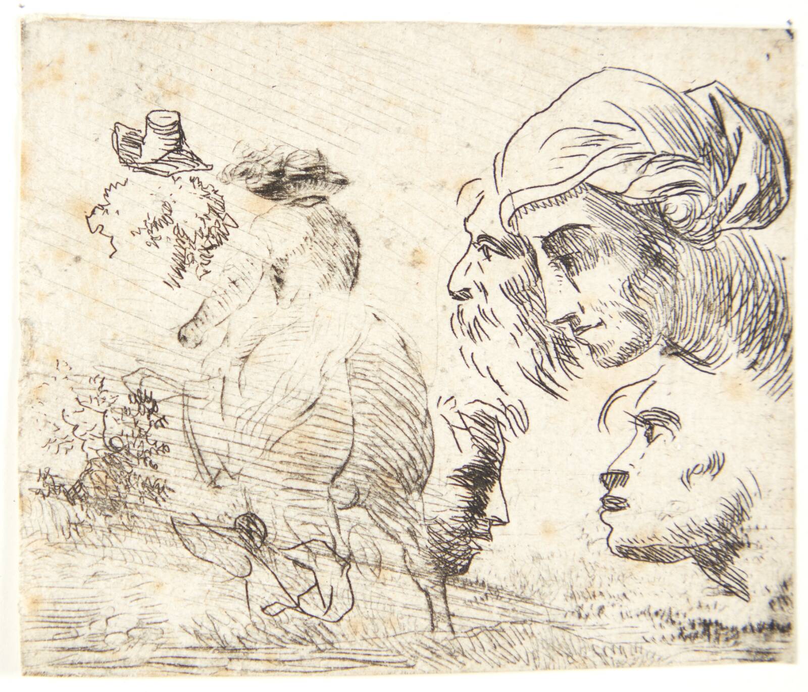 Studie af hoveder, Karel Du Jardin, 1626-1678