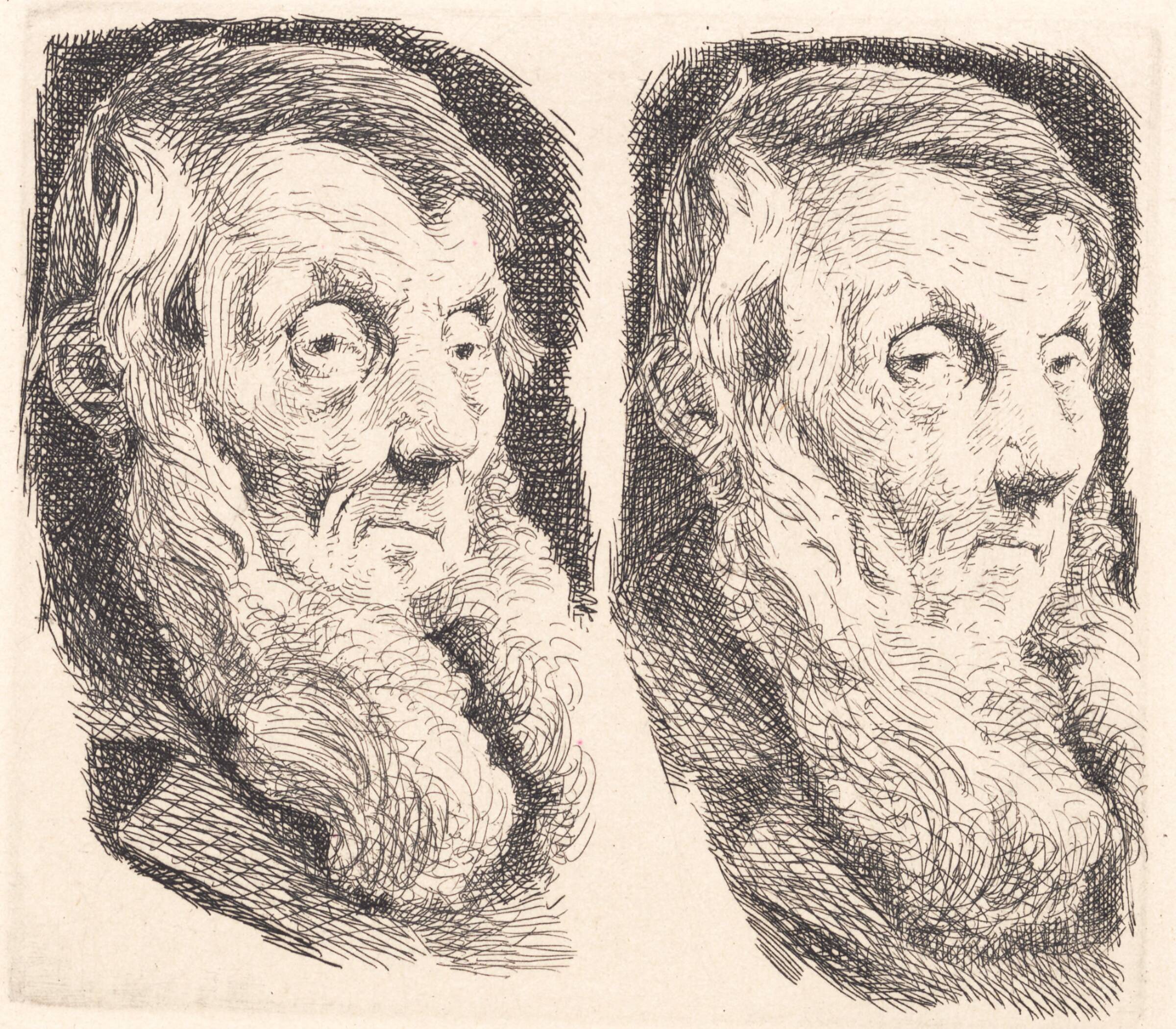 Prøveplade af en gammel skægget mand, vendt mod højre to gange, Frans Schwartz, 1865-1917