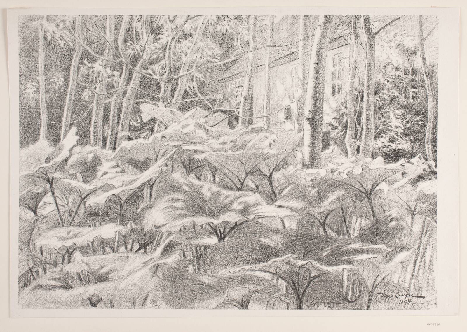Fra en have, Viggo Langer, 1894