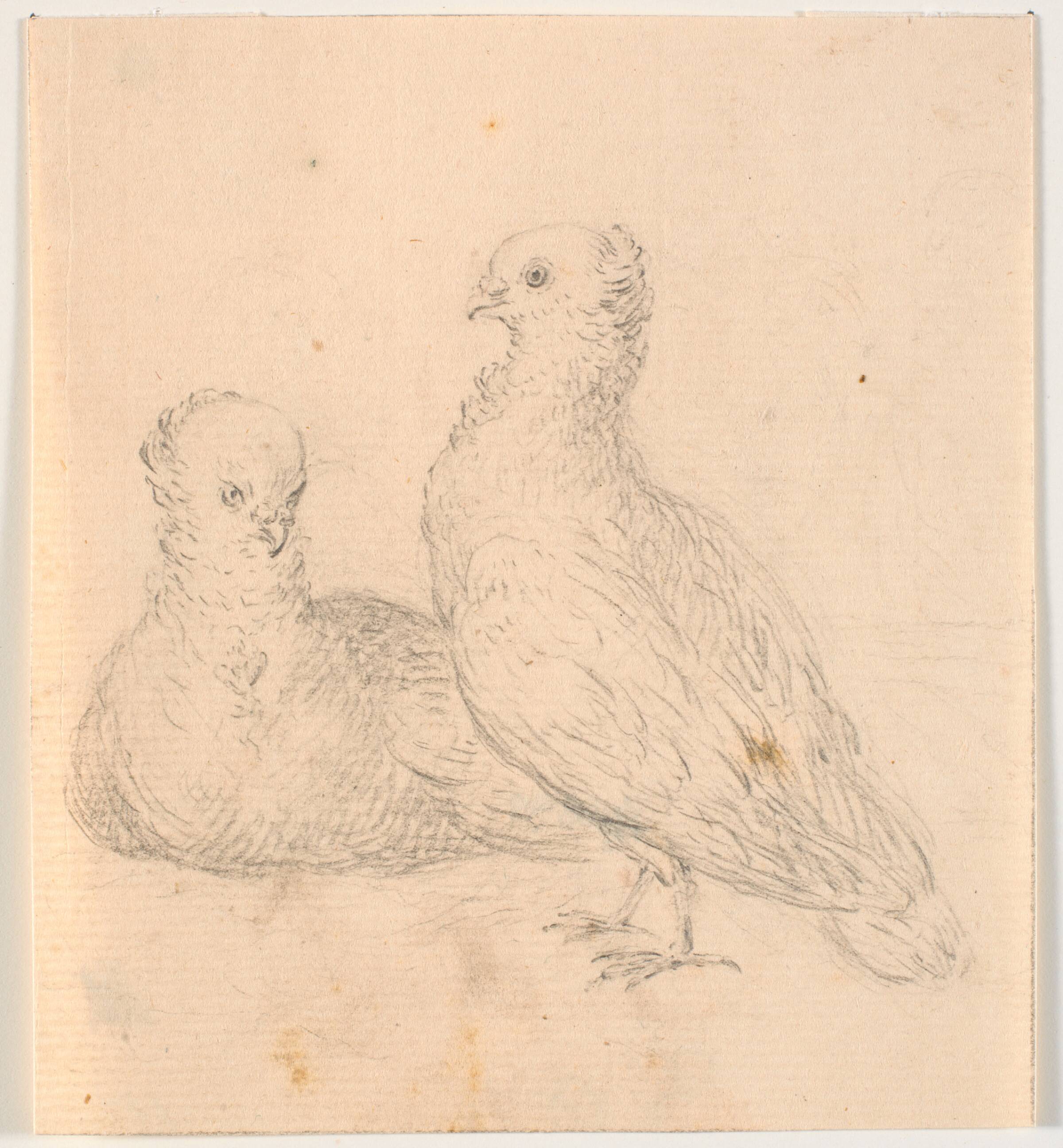 To duer, C.A. Lorentzen, 1746-1828
