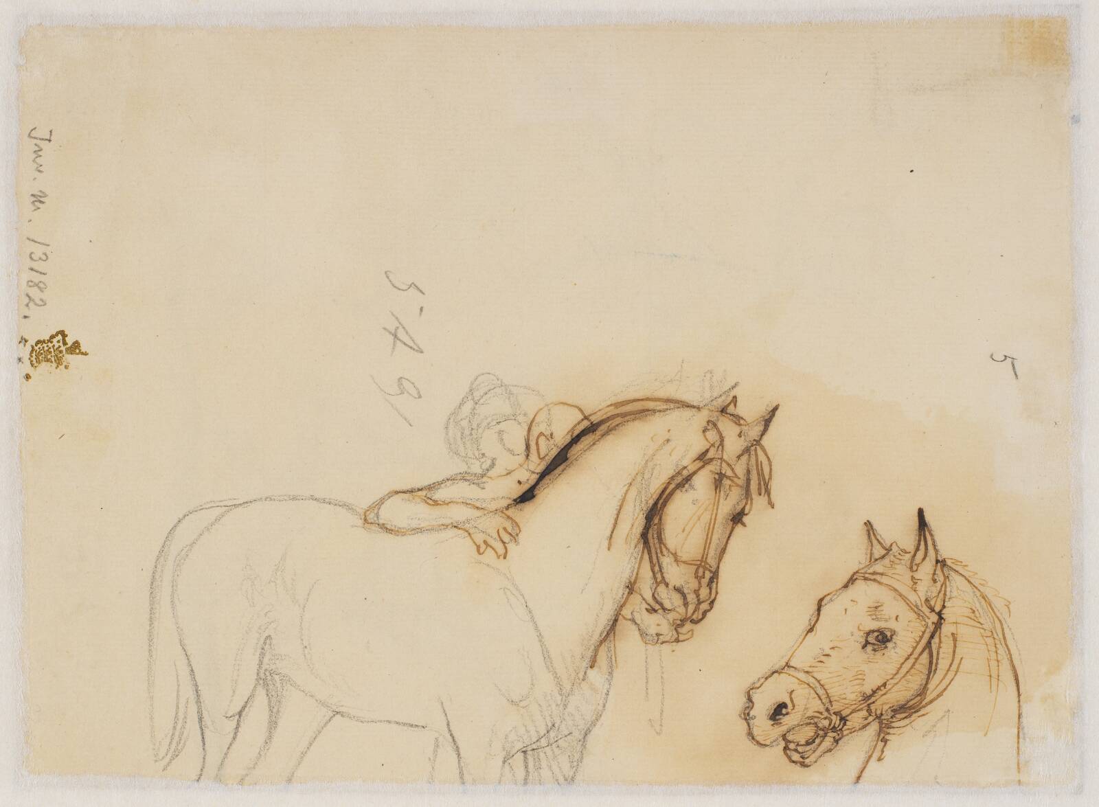 Hest og hestehoved, Wilhelm Marstrand, 1810-1873
