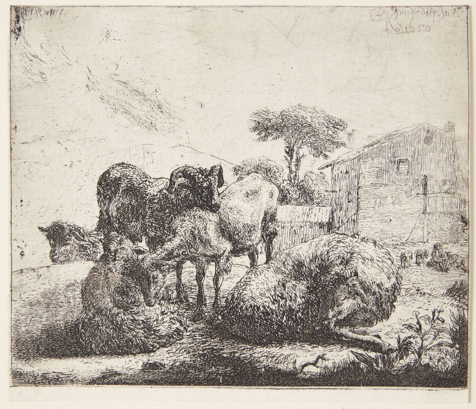 Fem får, Jacob van der Does, 1650