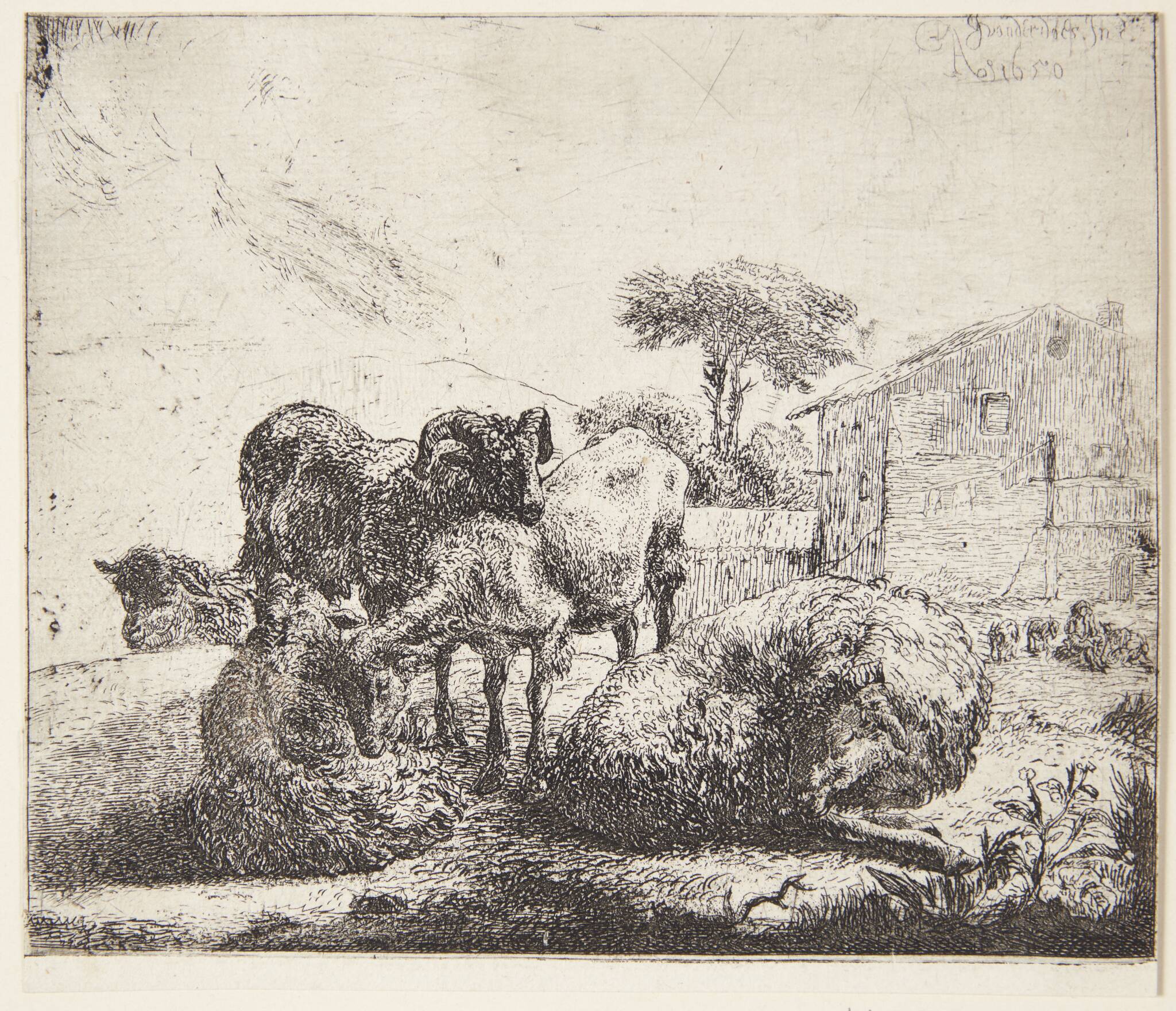 Jacob van der Does (I)