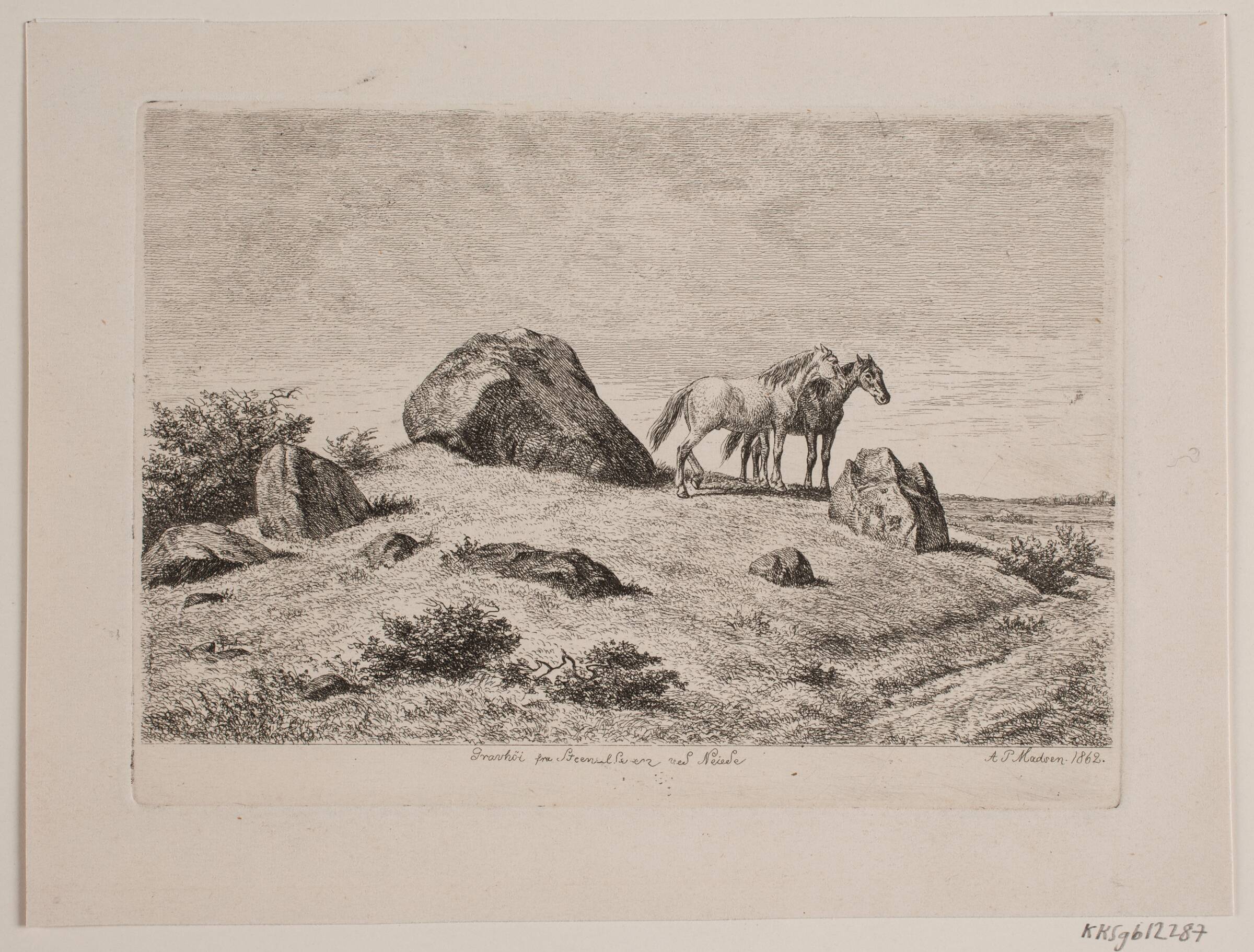 Gravhøj fra stenalderen ved Neiede, Madsen, A.P., 1862