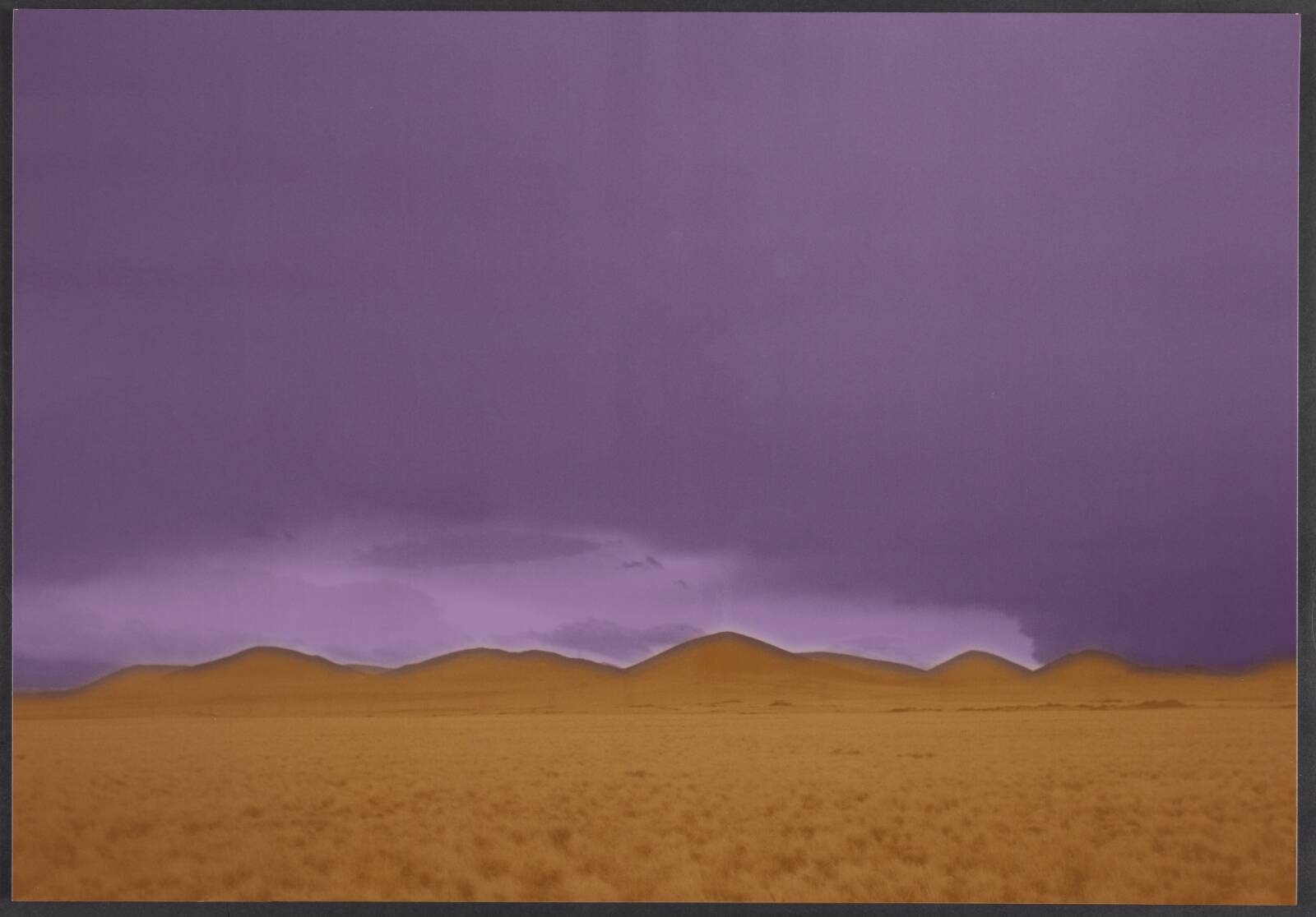 Arizona, Erik Steffensen, 2001