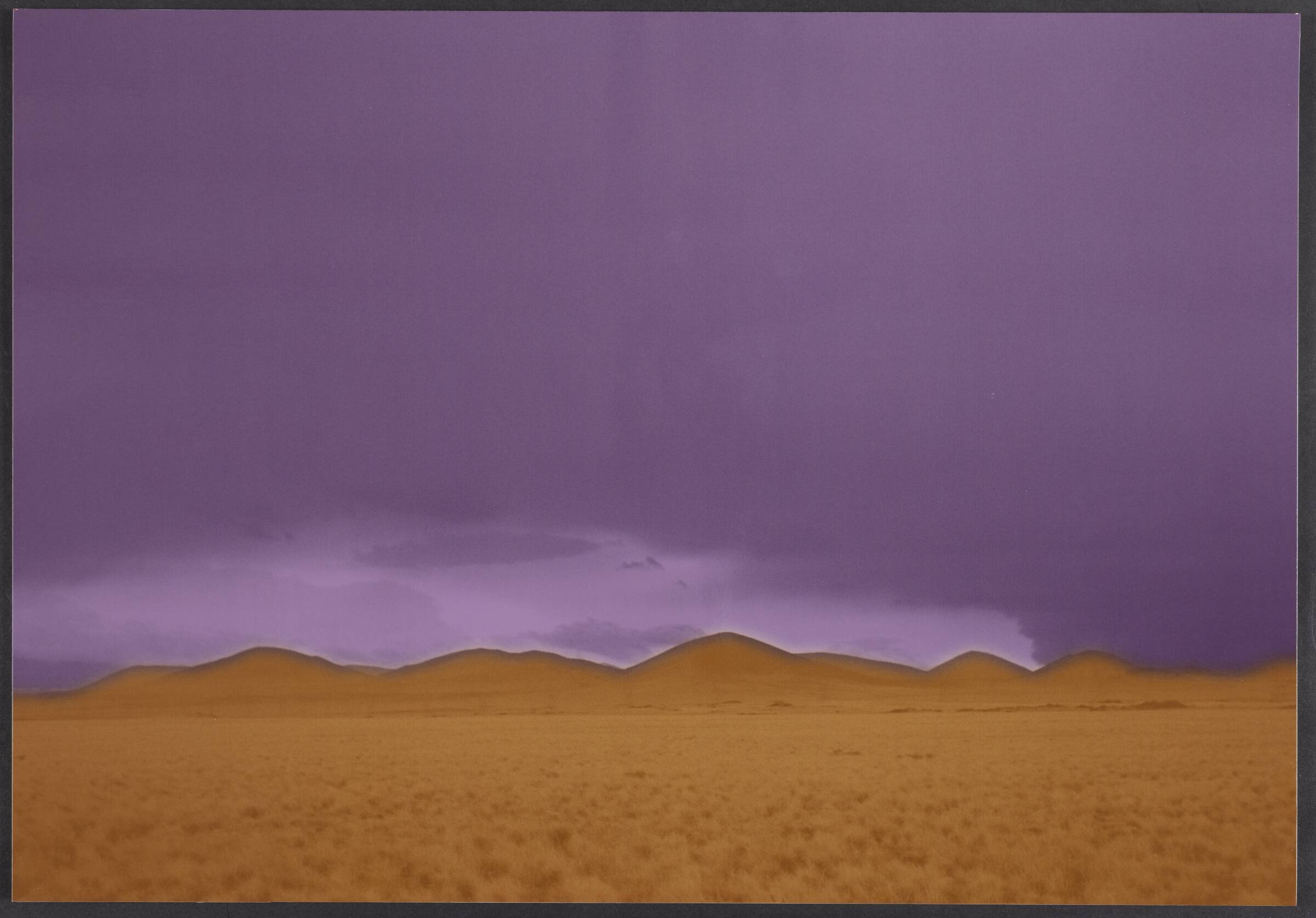 Arizona, Erik Steffensen, 2001