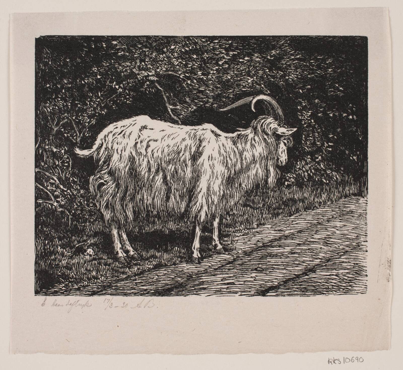 En gedebuk, Alexander Blom, 1930