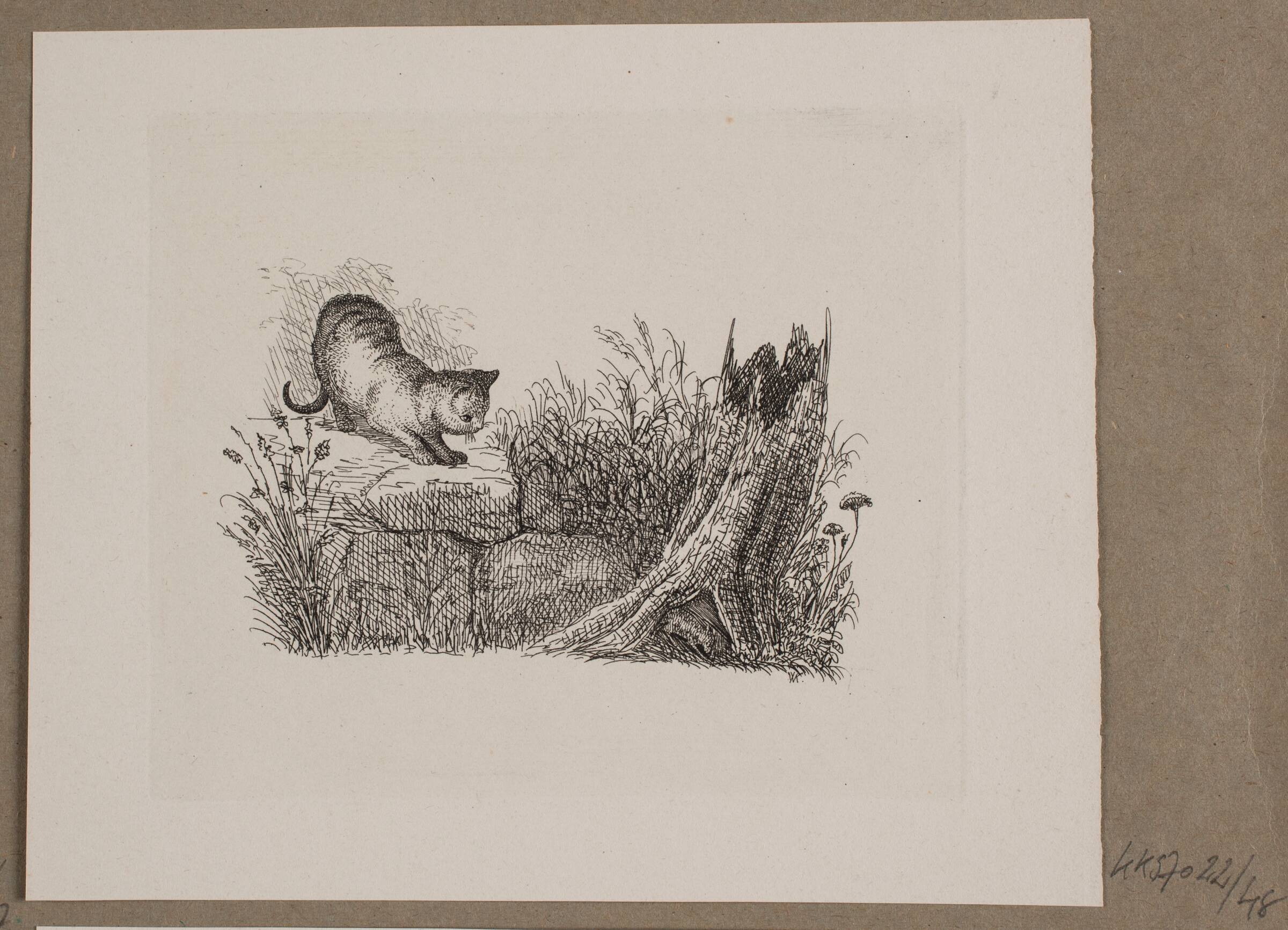 Illustration til O. Specter, "Fabler for Børn", Vilhelm Kyhn, 1838