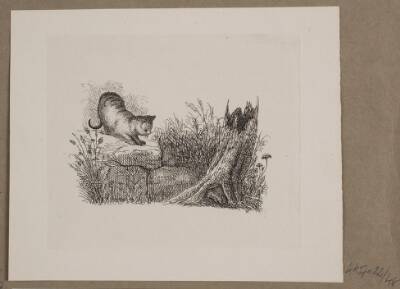 Illustration til O. Specter, "Fabler for Børn"