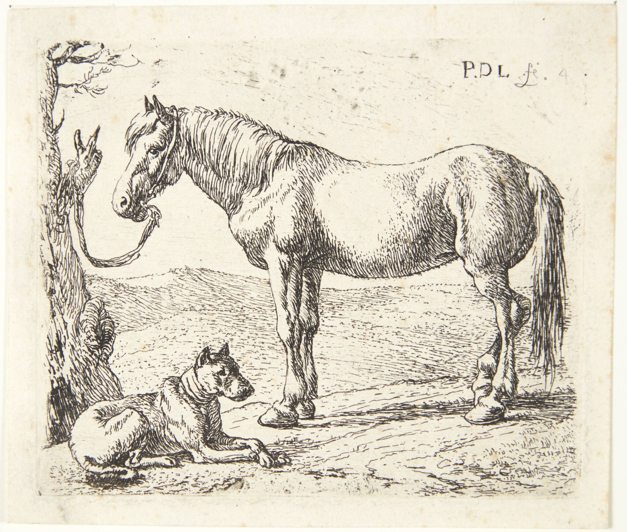 En hest og en hund