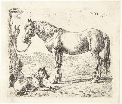 En hest og en hund