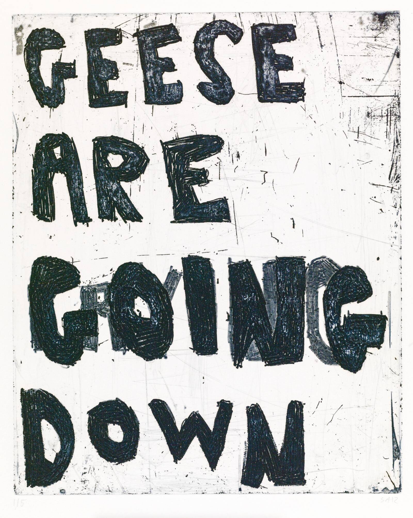GEESE ARE GOING DOWN, Svend-Allan Sørensen, 2012