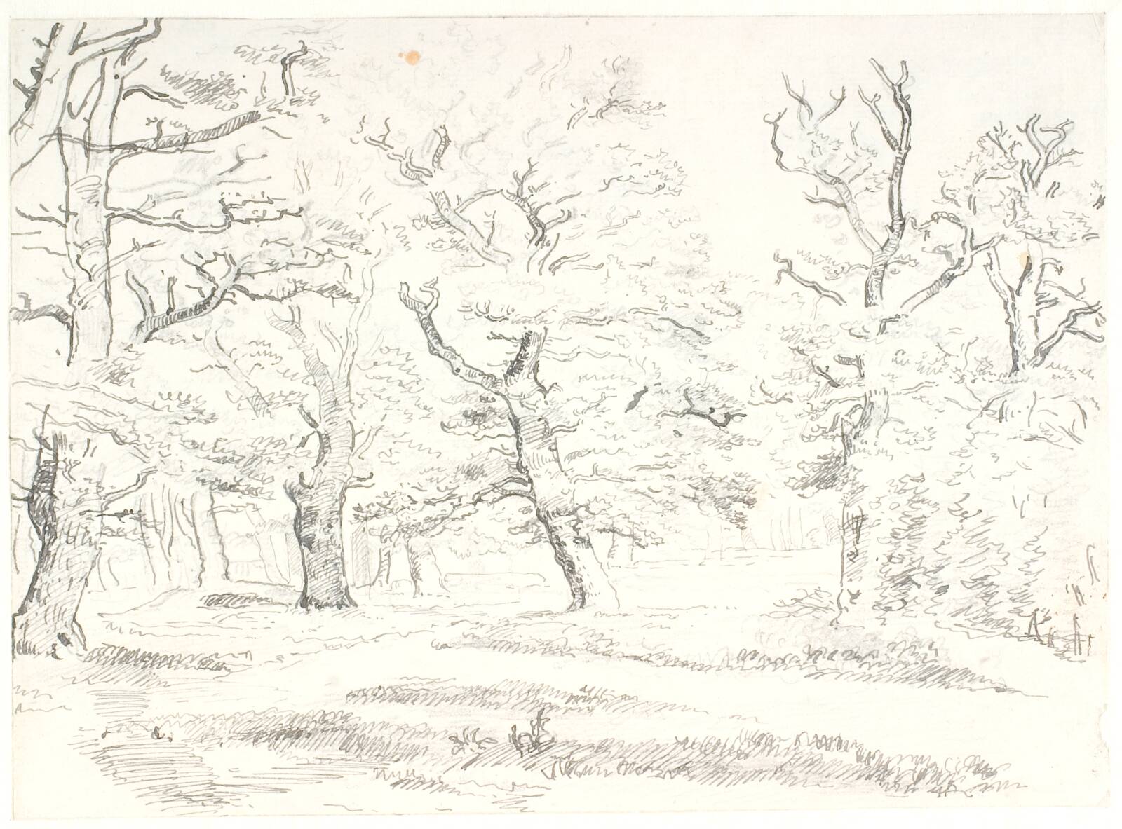 Skovinteriør med gamle egetræer, Dankvart Dreyer, 1844-1846