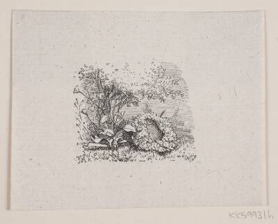 Illustration til "De sidste timer", digt af H. J. Greensteen