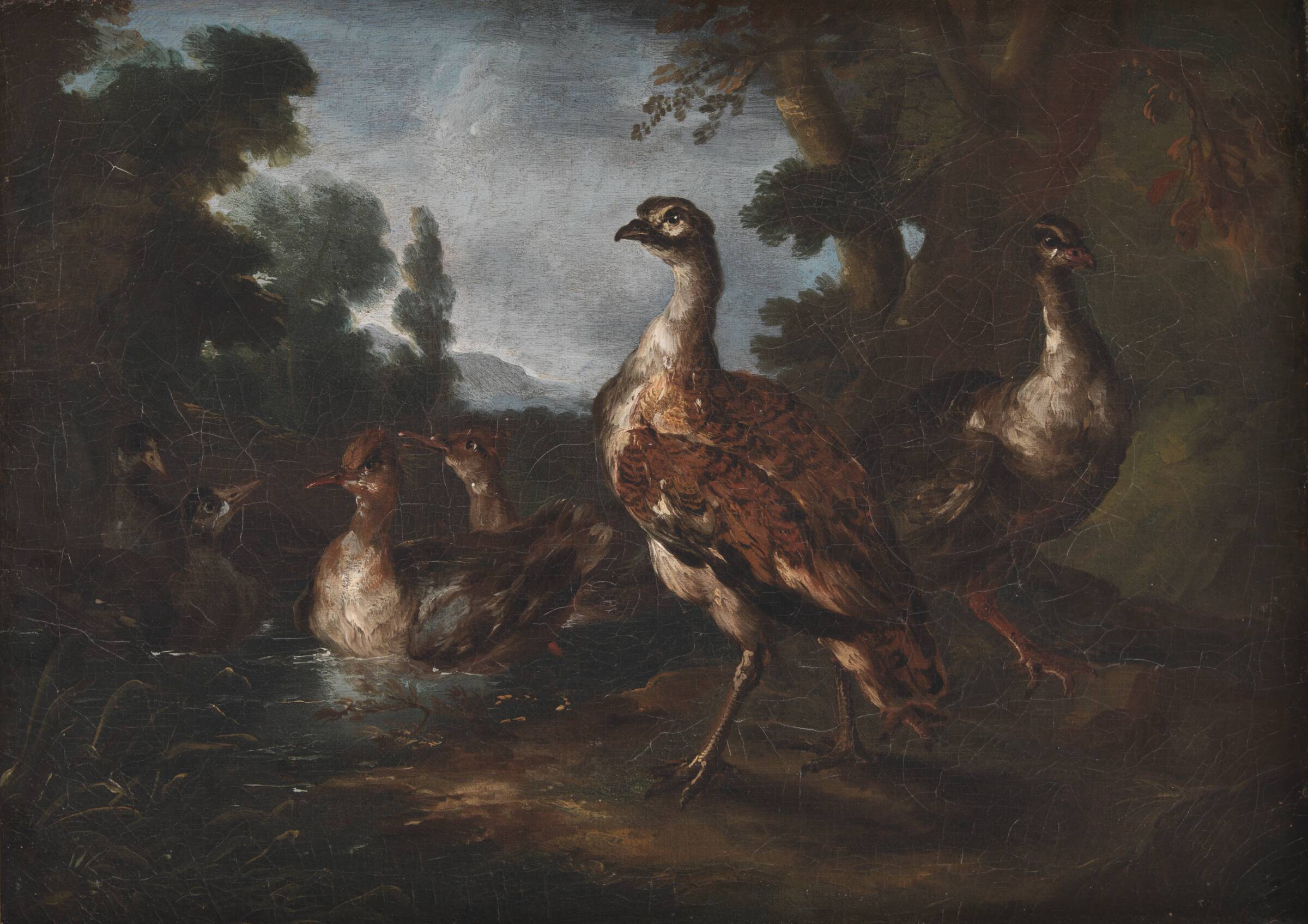 Landskab med fugle, Angelo Maria Crivelli, 1665-1730