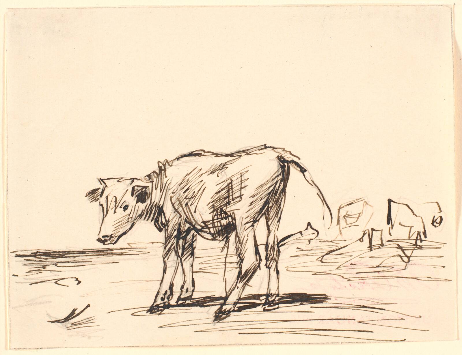 En tyrekalv, Theodor Philipsen, 1915