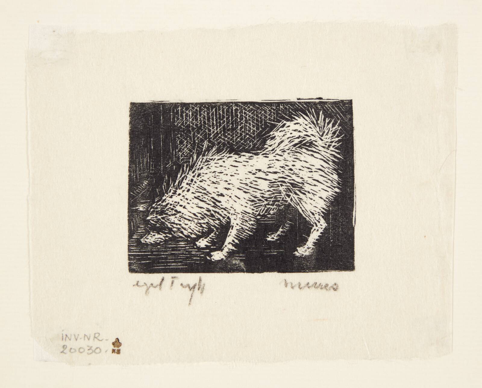 Hund, Jane Muus, 1949