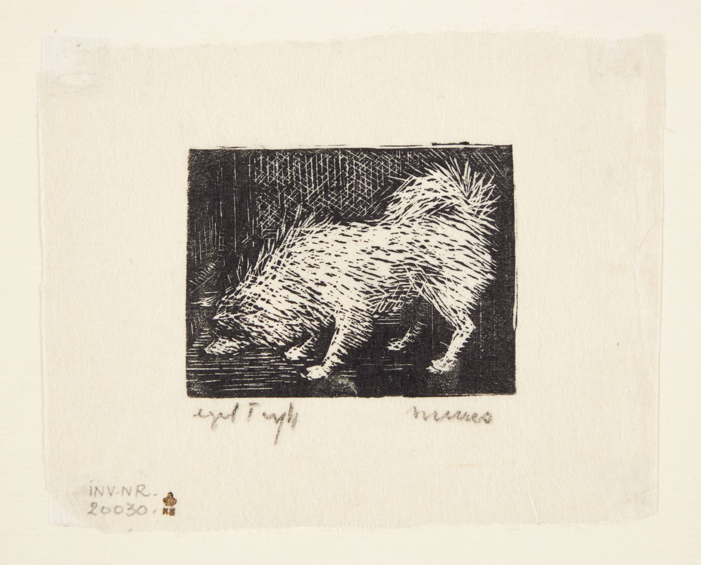 Hund, Jane Muus, 1949
