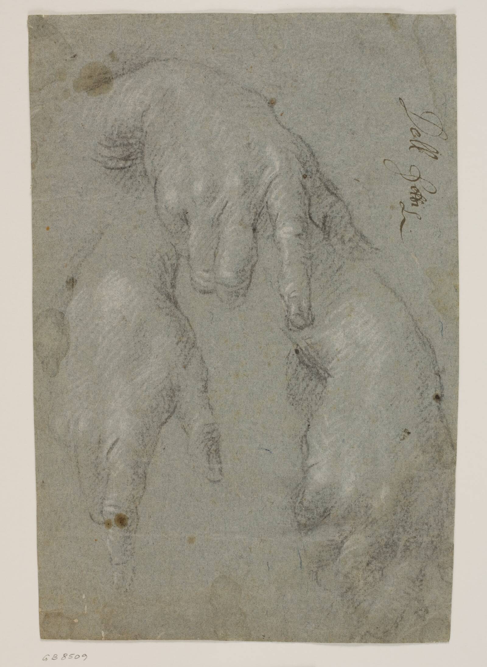 Tre studier af en højre hånd, Jacopo Palma, 1548-1628