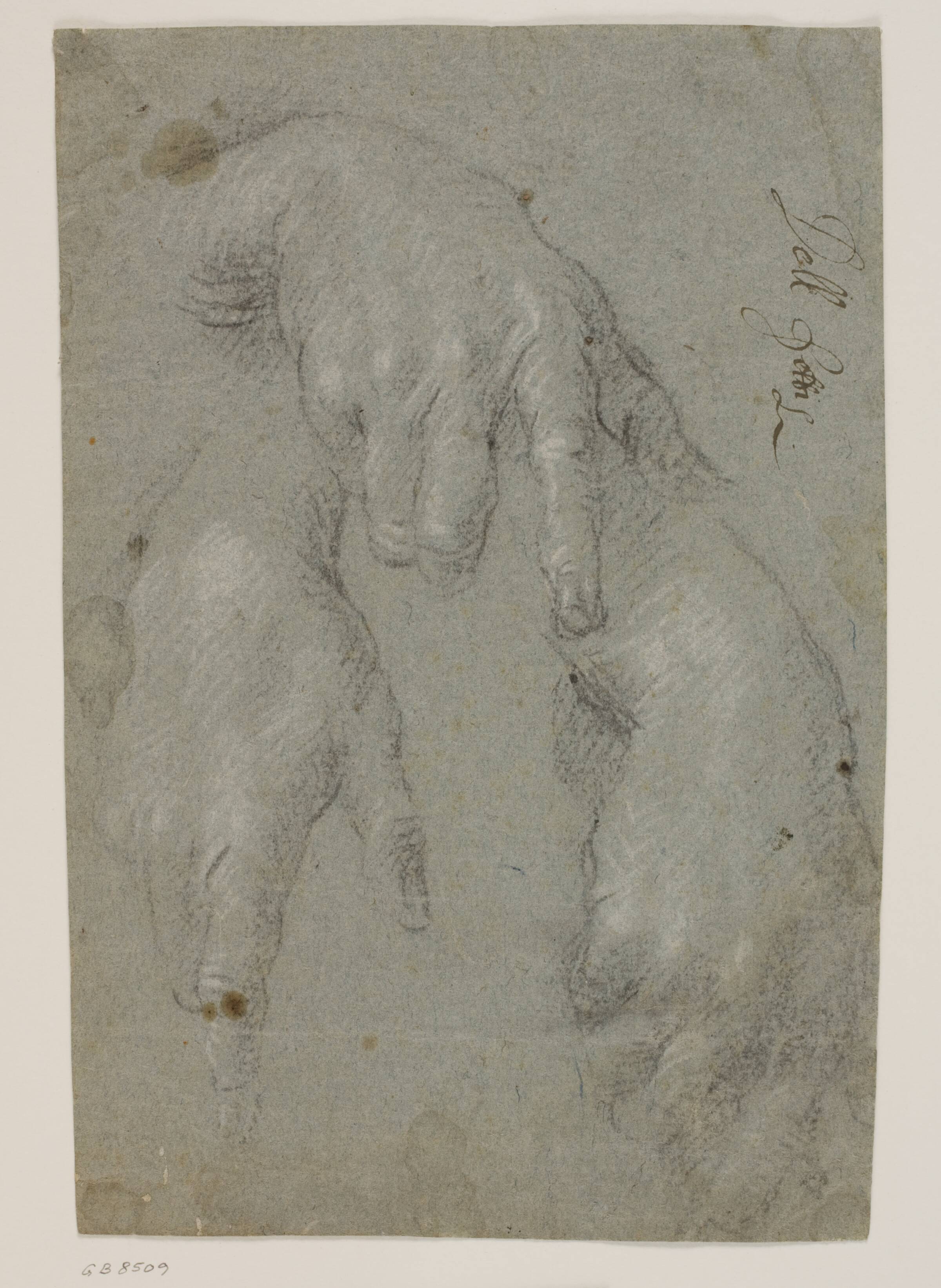 Tre studier af en højre hånd, Jacopo Palma, 1548-1628